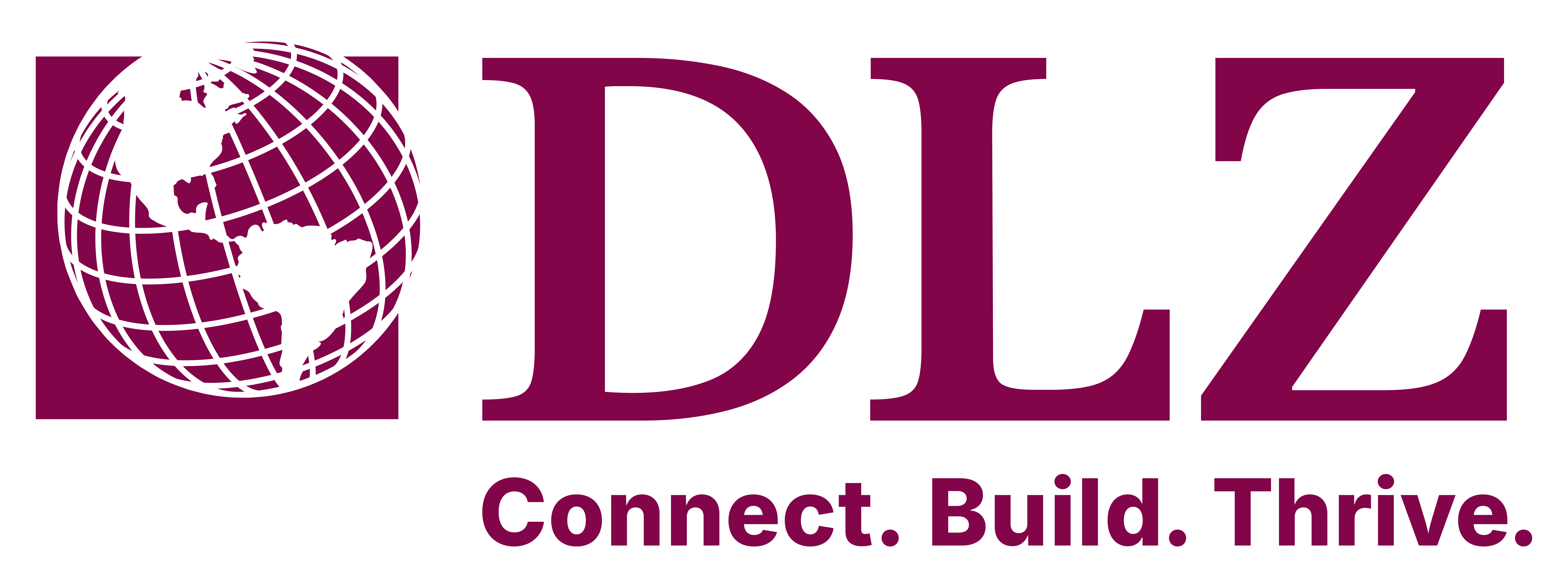Cover of DLZ